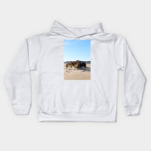 Assateague Beach Ponies Series - 04 Kids Hoodie